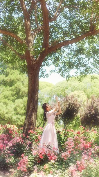 老牛影视在线观看免费观看电视剧