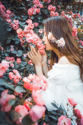 国产剧免费观看完整版高清