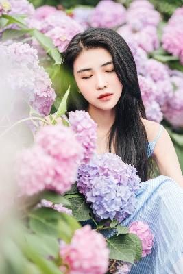 会长是女仆大人动漫完整版