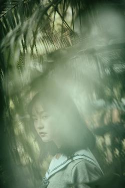 热播电视剧追剧清单