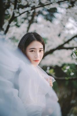 梅子影院免费观看电视剧高清版