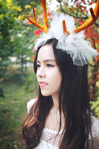 楚乔传电视剧免费观看全集