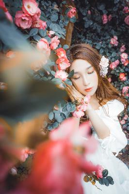 大生意人电视剧免费观看完整版